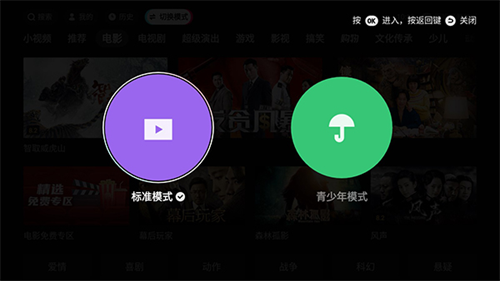 西瓜视频tv版
