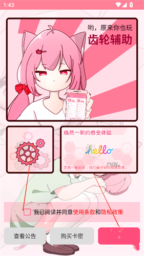 齿轮辅助