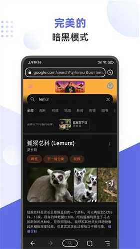狐猴浏览器截图2