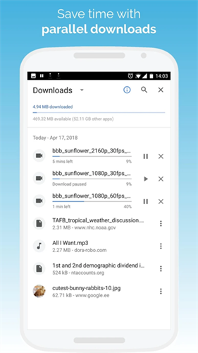 kiwibrowser截图1