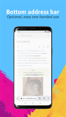 kiwibrowser截图2