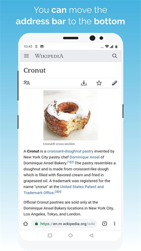 kiwibrowser截图5