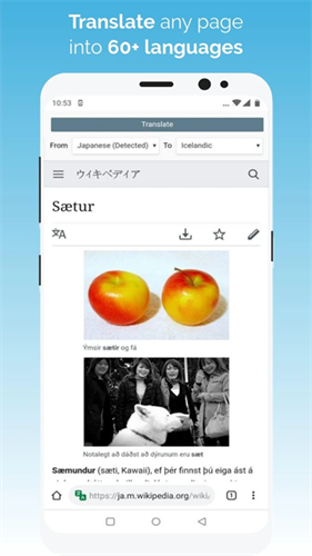 kiwibrowser截图4