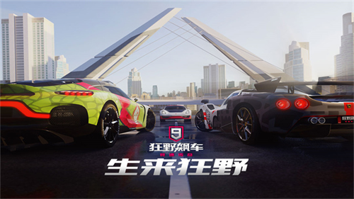 狂野飙车9截图3