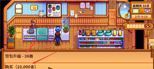 stardew valley手机版