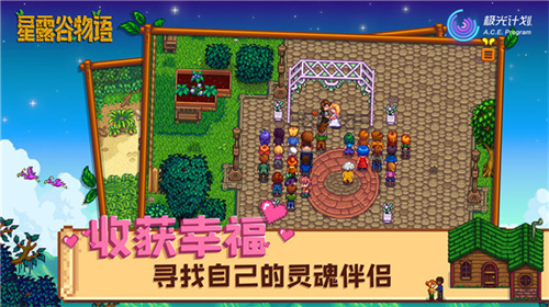 星露谷物语枫姨美化版截图5