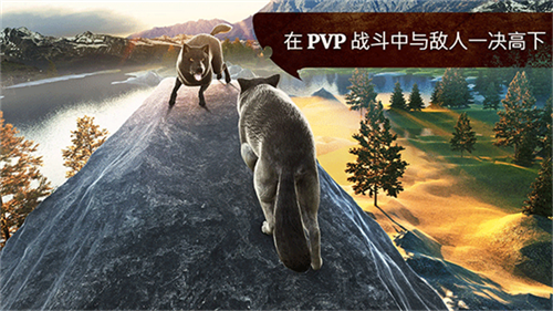 狼族手游截图2
