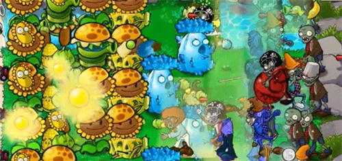 植物大战僵尸杂交版重制版