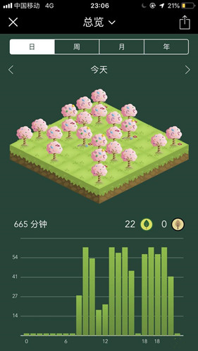 Forest专注森林