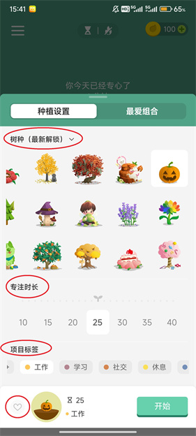 Forest专注森林
