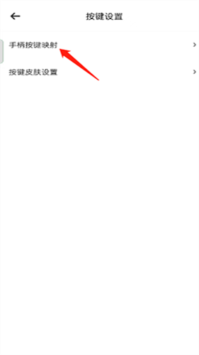 小马模拟器tv版