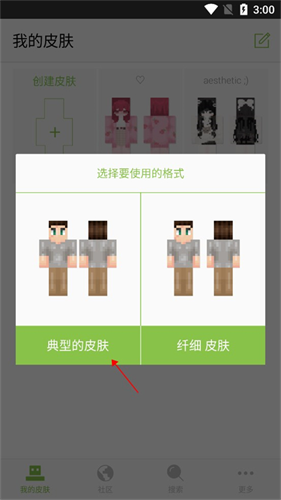 我的世界skinseed