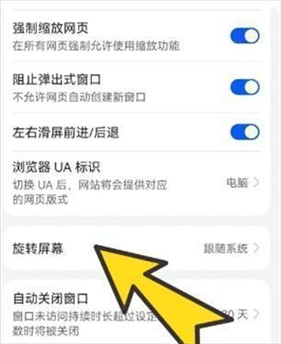 BOBO浏览器无国界黑色版