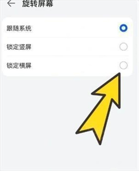 BOBO浏览器无国界黑色版