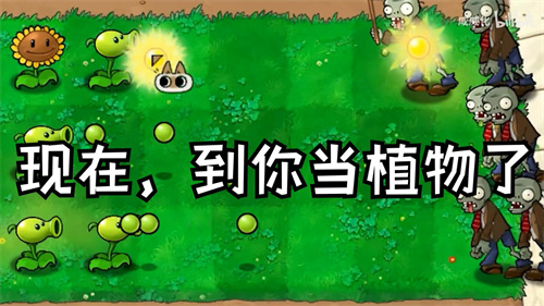 植物大战僵尸繁琐版截图0