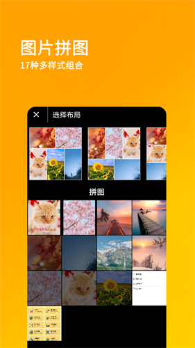 刷圈兔截图4