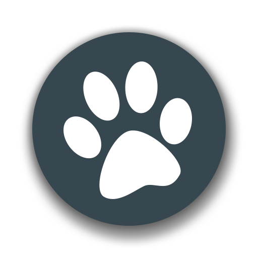 兽音译者翻译器