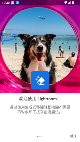 lightroom手机版截图4