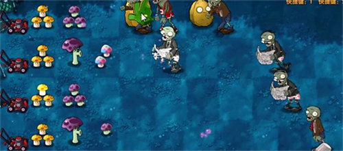 植物大战僵尸融合二创版