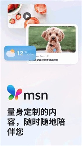 msn截图3
