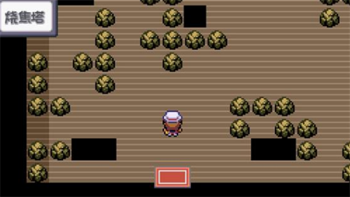 口袋妖怪燃之智