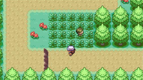 口袋妖怪燃之智