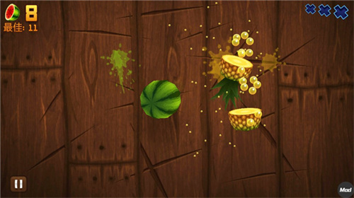 fruitninja