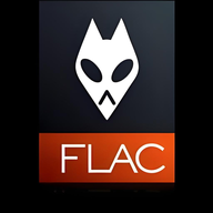 flac播放器安卓版