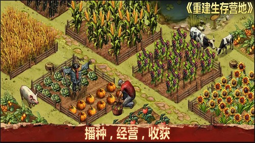 重建生存营地截图2