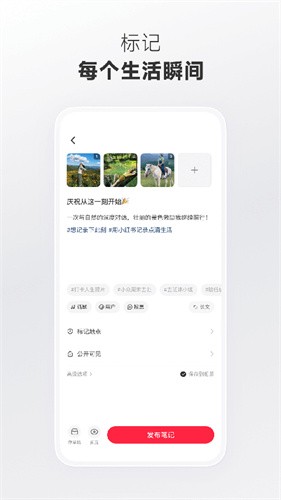 小红书美食app截图4