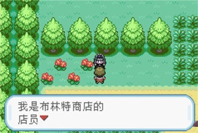 口袋妖怪火红截图3