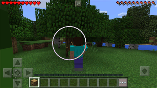 我的世界携带版0.11