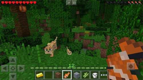 minecraft1.1