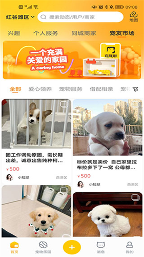 宠胖胖app