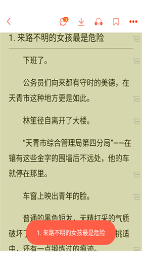 菠萝包轻小说