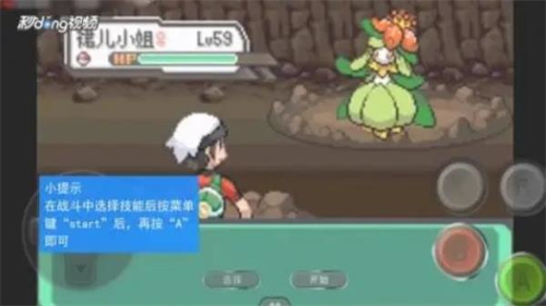 神奇宝贝绿宝石截图2