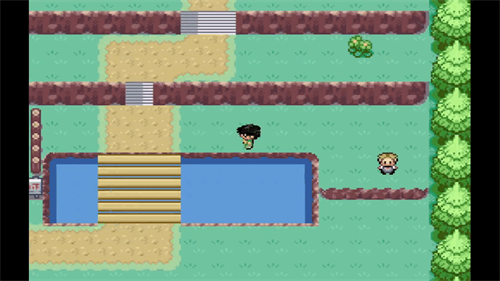 口袋妖怪燃之智截图2