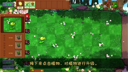 植物大战僵尸共生版