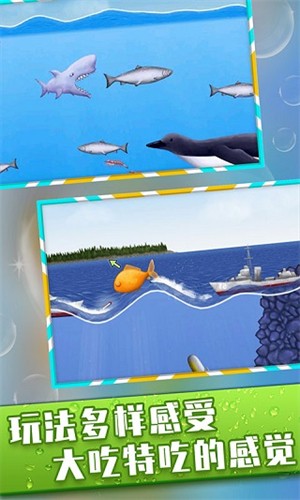 美味星球鲨鱼版截图1