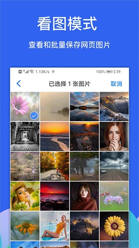 alook浏览器截图3