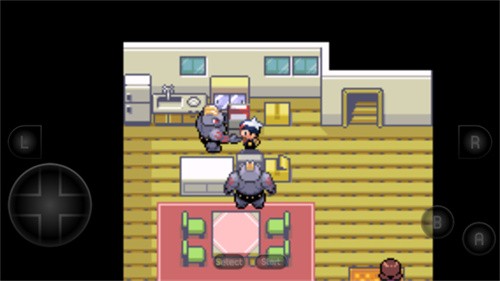 口袋妖怪红宝石截图2