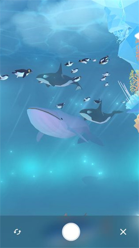 深海水族馆极地