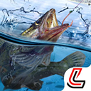 天天钓鱼正版下载