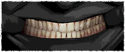 寻找伪人完整版