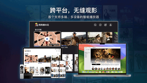 网易爆米花tv版截图2