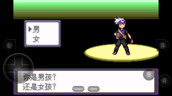 口袋妖怪漆黑的魅影5.0截图1