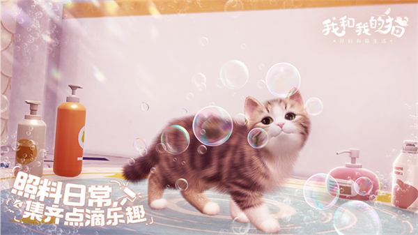 我和我的猫截图1