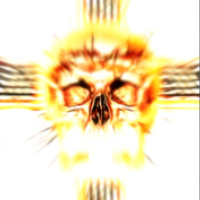 脑叶公司最新版