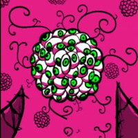 脑叶公司最新版