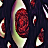 脑叶公司最新版